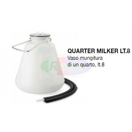 Vaso mungitura di un quarto, lt.8