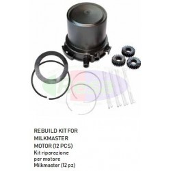 KIT RIPARAZIONE PER MOTORE MILKMASTER (12 PZ)