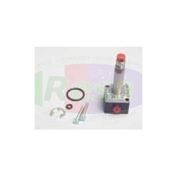 VALVOLA DAIRYMASTER P207