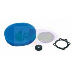 KIT PER MASTER RELAY FW. 043421