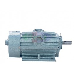 POMPA VUOTO ADATT. FULWOOD Q4 1100-1500LTR/MIN 4-5.5 HP