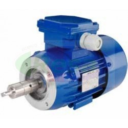 MOTORE ELETTRICO PER POMPA LATTE PC 900 220V