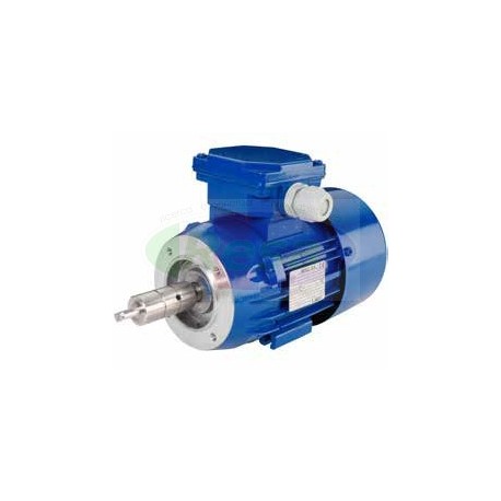 MOTORE ELETTRICO PER POMPA LATTE PC 900 220V