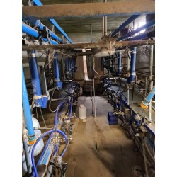 SALA MUNGITURA 6+6 SPINA DI PESCE DELAVAL USATA