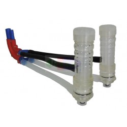 GRUPPO MUNGITORE "TORRES" CAPRE