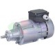 MOTORIDUTTORE SIREM R1C225D2B- 25 RPM/MIN