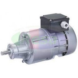 MOTORIDUTTORE SIREM R1C225D2B- 25 RPM/MIN