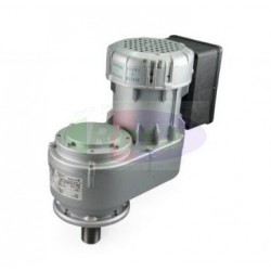 MOTORIDUTTORE SIREM R1C245N2BR 25 RPM/MIN - 230 V - PER FRIGO LATTE JAPY ATLAS