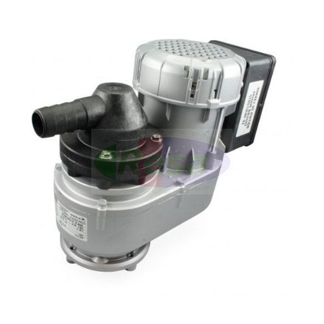 MOTORIDUTTORE SIREM R1C245NP7B -21 RPM/MIN - 230 V