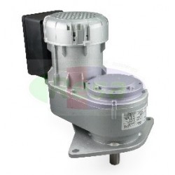 MOTORIDUTTORE SIREM R1C245NSB - 30 RPM/MIN - 230 V-