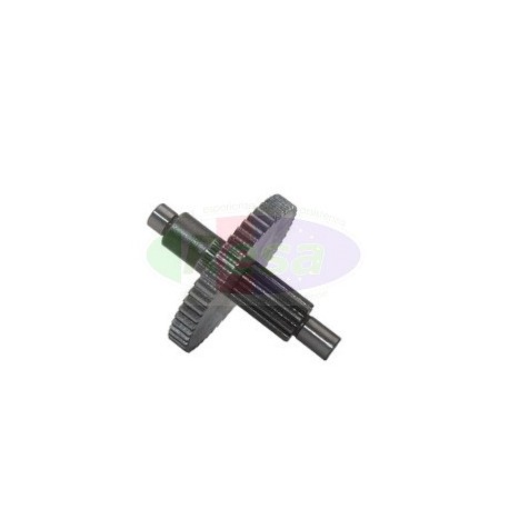 PIGNONE PER MOTORIDUTTORE SIREM SERIE D & H