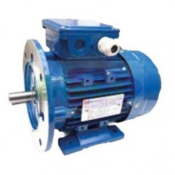 MOTORE ELETTRICO PER POMPA LATTE FMP 110