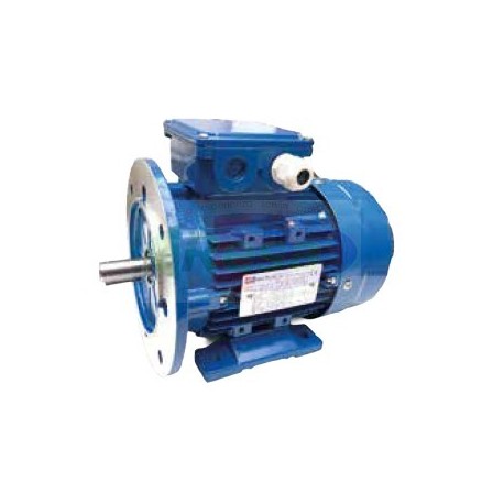 MOTORE ELETTRICO PER POMPA LATTE FMP 110