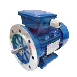 MOTORE ELETTRICO PER POMPA LATTE FMP 55