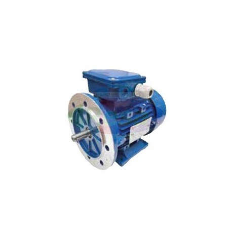 MOTORE ELETTRICO PER POMPA LATTE FMP 55