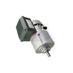 MOTORIDUTTORE SIREM R1C225H2BC - 30 RPM/MIN - 230 V- PER FRIGO LATTE PACKO