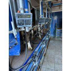 SALA MUNGITURA QUATTRO POSTE SPINA DI PESCE DELAVAL USATA