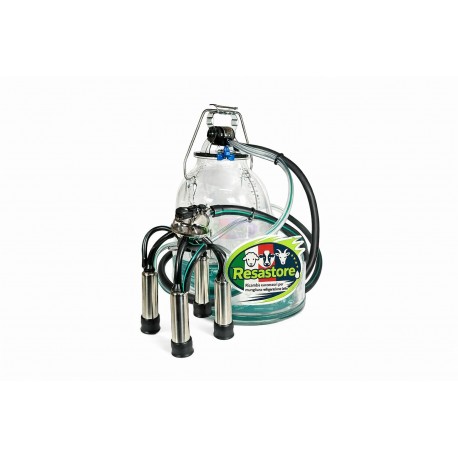 SECCHIO MUNGITORE TIPO WESTFALIA VERDE