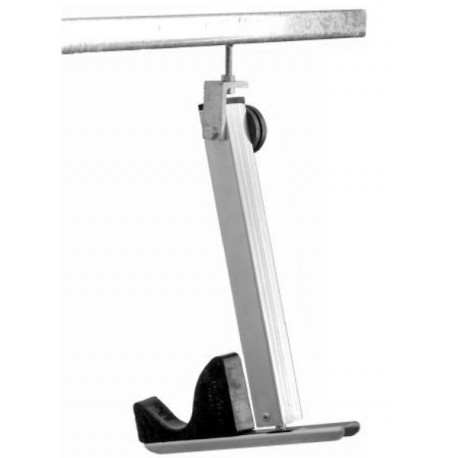 CZ 2501 Reggimammella ovini caprini