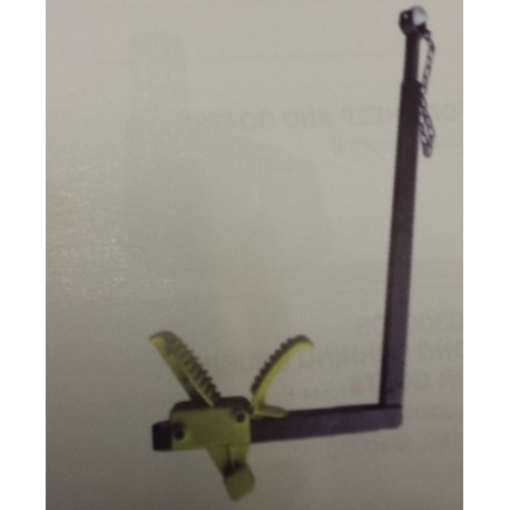 CZ 2505 Reggimammella ovini/caprini a "MANINA STRINGENTE"