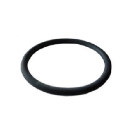 GUARNIZIONE TONDA PER VASO TERMINALE DELAVAL (RIF. 99758101)