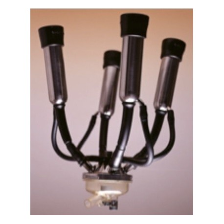 GRUPPO DI MUNGITURA "RESALINER" CON GUAINE TRIANGOLARI