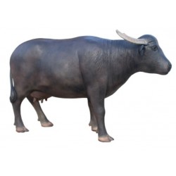 BUFALA H 140X220 CM VETRORESINA