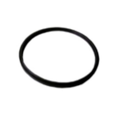 GUARNIZIONE COPERCHIO FLOMASTER