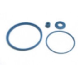 Kit manutenzione collettore DAIRYMASTER SF309