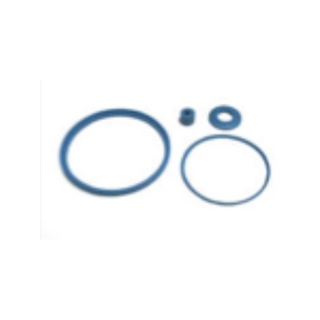 Kit manutenzione collettore DAIRYMASTER SF309