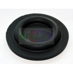 Membrana per DV5-DV4 corr. GM 381667