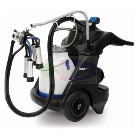 Carrello mungitura 170ITALIA un gruppo bovini