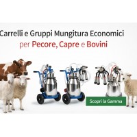 CARRELLI E GRUPPI MUNGITURA ECONOMICI 